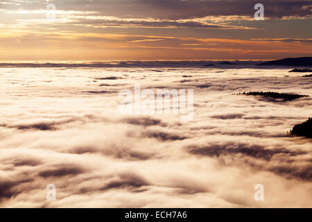 Vista dal Monte Feldberg sopra la Valle del Reno nei Vosgi, tempo di inversione, Foresta Nera, Baden-Württemberg, Germania Foto Stock