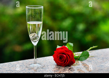 Gli anelli di nozze e rosa rossa in un vetro di champagne Foto Stock