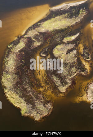 Sezione di sabbia di fiume Gomoti con i suoi canali e isole, vista aerea, Okavango Delta, Botswana Foto Stock