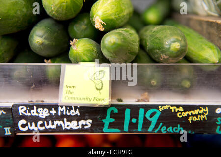 Coltivati localmente i cetrioli in un supermercato organico REGNO UNITO Foto Stock