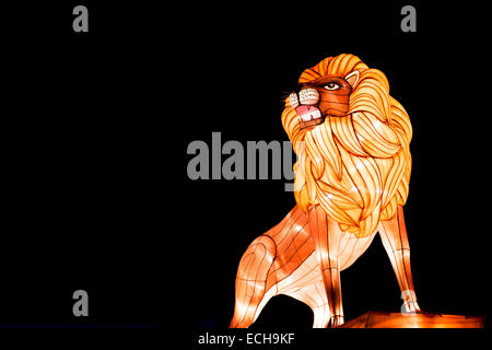 Lion Lanterna cinese a Longleat, Warminster, Wiltshire. Inghilterra Foto Stock