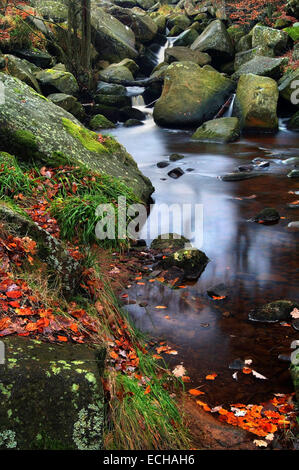 Regno Unito, Derbyshire, Peak District, Padley Gorge Waterfalls in autunno. Foto Stock