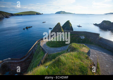 Strada stretta scendendo a Dunquin Harbour, il porto dei traghetti per la grande isola di Blasket. Penisola di Dingle, nella contea di Kerry, Irlanda. Foto Stock