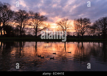 Datchet, Berkshire. Il 15 dicembre 2014. Regno Unito: Meteo il sole tramonta sul Fiume Tamigi a Windsor, come si vede dalle rive del Tamigi a Datchet, Berkshire. Credito: Ed Brown/Alamy Live News Foto Stock