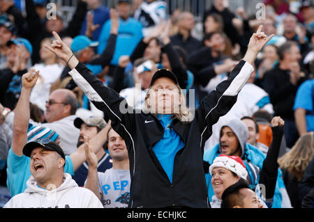 Charlotte, NC, Stati Uniti d'America. Xiv Dic, 2014. Carolina Panthers appassionati di celebrare un touchdown in un gioco di NFL contro il Tampa Bay Buccaneers presso la Bank of America Stadium il 14 dicembre 2014, a Charlotte, NC. Le Pantere sconfitto il Buccaneers 19-17. Margaret Bowles/CSM/Alamy Live News Foto Stock