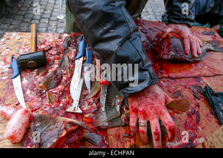 Carpa di Natale, tradizione ceca. La vendita di Carpa di Natale sulla strada, Praga, Repubblica Ceca Foto Stock