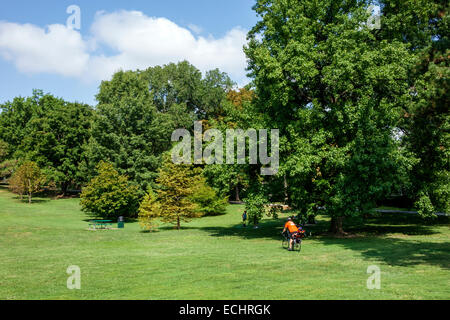 Saint St. Louis Missouri,Hi-Pointe,De Mun Historic District,Neighborhood,Concordia Park,prato,alberi,spazio verde,uomo maschio,ragazzo ragazzi bambini grassi Foto Stock