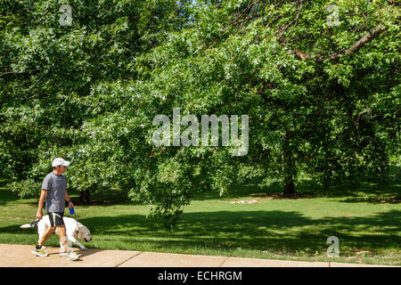 Saint St. Louis Missouri,Hi-Pointe,De Mun Historic District,Neighborhood,Concordia Park,prato,alberi,spazio verde,uomo maschio,cane,guinzaglio,camminando,MO140831 Foto Stock