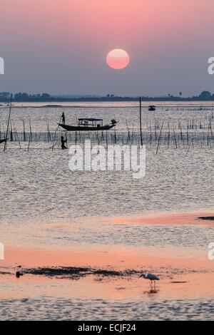 India, Odisha, Satapada, pescatore sul Chilika laguna al tramonto Foto Stock