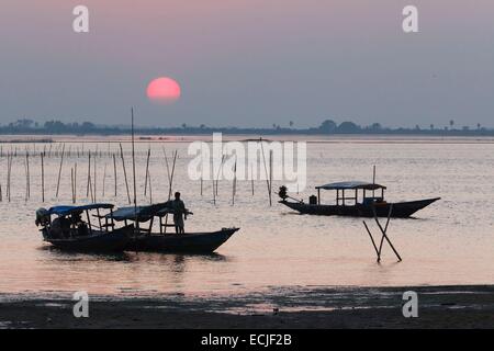 India, Odisha, Satapada, tramonto sulla laguna Chilika, barche Foto Stock