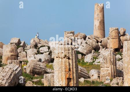 L'Italia, sicilia, Selinunte, il parco archeologico della antica città greca, le rovine della F e G tempio Foto Stock