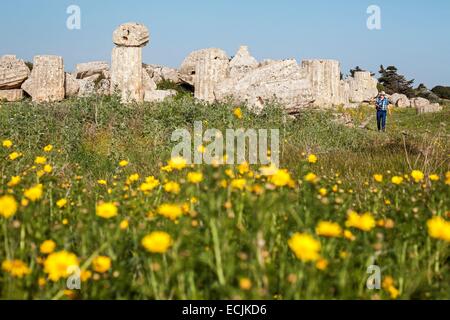 L'Italia, sicilia, Selinunte, il parco archeologico della antica città greca, le rovine del tempio F Foto Stock