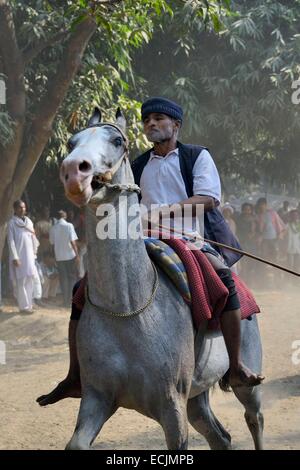 India, Bihar, Patna regione, Sonepur fiera del bestiame, cavallo di razza Foto Stock