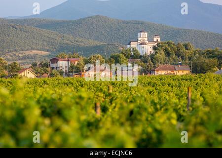 Repubblica di Macedonia, la regione del vino di Demir Kapija Foto Stock