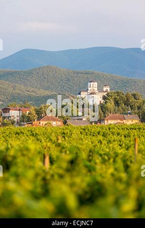 Repubblica di Macedonia, la regione del vino di Demir Kapija Foto Stock