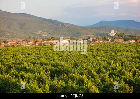 Repubblica di Macedonia, la regione del vino di Demir Kapija Foto Stock