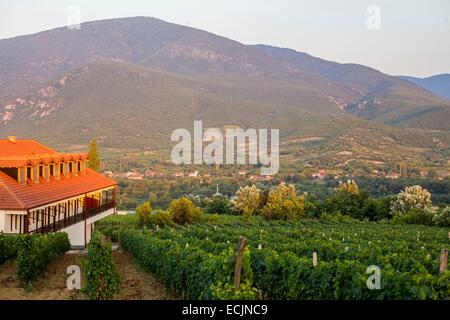 Repubblica di Macedonia, regione vinicola Demir Kapija, Popova Kula winery Foto Stock