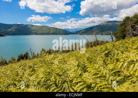 Repubblica di Macedonia, Parco Nazionale di Mavrovo, Mavrovo lago creato nel 1947 da una diga sul Radika Foto Stock