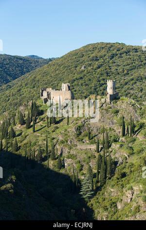 Francia, Aude, Portel DES CORBIERES, i castelli di Lastours Foto Stock