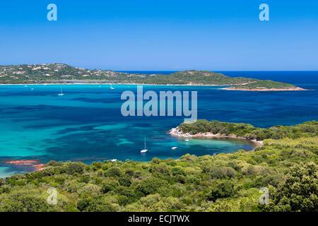 Francia, Corse du Sud, lecci, Saint Cyprien bay Foto Stock