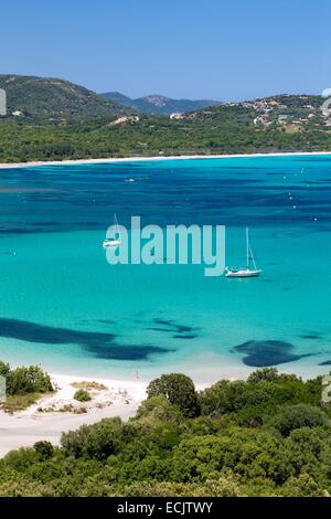 Francia, Corse du Sud, lecci, Saint Cyprien bay Foto Stock