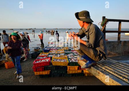 Il Vietnam, Ba provincia Rai, lunghi hai, lo scarico di barche di pescatori sulla spiaggia di lunghi Hai Foto Stock