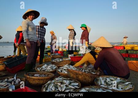 Il Vietnam, Ba provincia Rai, lunghi hai, lo scarico di barche di pescatori sulla spiaggia di lunghi Hai Foto Stock