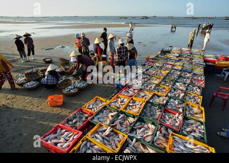 Il Vietnam, Ba provincia Rai, lunghi hai, lo scarico di barche di pescatori sulla spiaggia di lunghi Hai Foto Stock