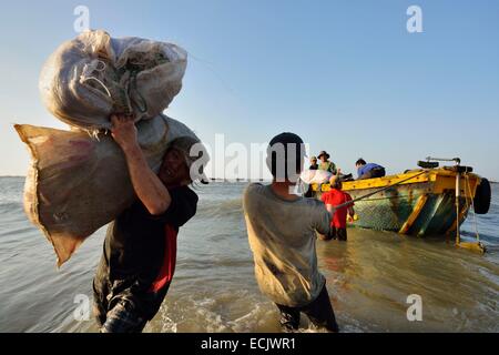 Il Vietnam, Ba provincia Rai, lunghi hai, lo scarico di barche di pescatori sulla spiaggia di lunghi Hai Foto Stock