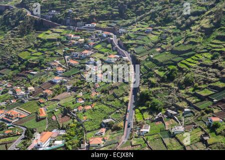 Il Portogallo, l'isola di Madeira, south coast, coltivazioni a terrazza nei dintorni di Camara de Lobos Foto Stock