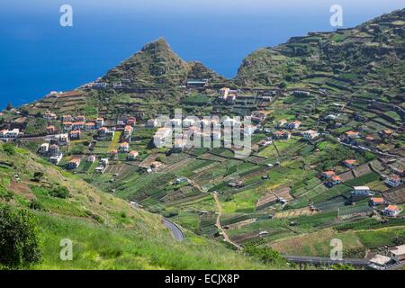 Il Portogallo, l'isola di Madeira, south coast, coltivazioni a terrazza nei dintorni di Camara de Lobos Foto Stock