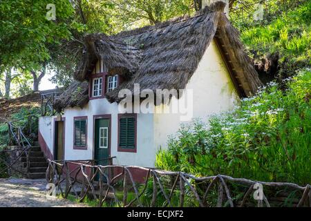 Il Portogallo, l'isola di Madeira, escursionismo a Caldeirao Verde e Caldeirao do Inferno nel cuore della foresta Laurissilva, classificato come patrimonio mondiale dall UNESCO, casa di Queimadas park Foto Stock