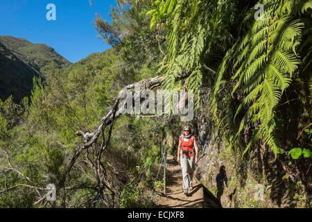 Il Portogallo, l'isola di Madeira, escursionismo a Caldeirao Verde e Caldeirao do Inferno nel cuore della foresta Laurissilva, classificato come patrimonio mondiale dall' UNESCO Foto Stock