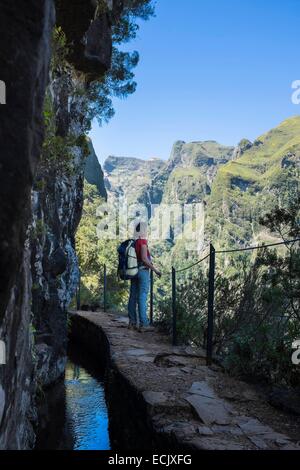 Il Portogallo, l'isola di Madeira, escursionismo a Caldeirao Verde e Caldeirao do Inferno nel cuore della foresta Laurissilva, classificato come patrimonio mondiale dall UNESCO, lungo la Levada do Caldeirao Verde Foto Stock