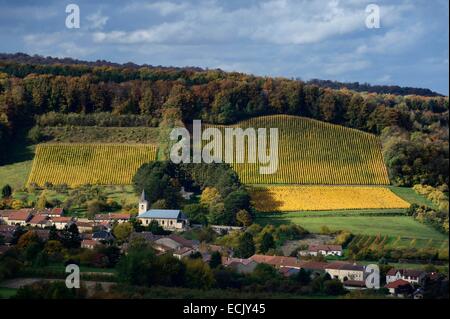 Francia, Meuse, Lorraine Parco Regionale, Cotes de Meuse, il villaggio di Vieville Sous les Cotes ai piedi di un vigneto Foto Stock