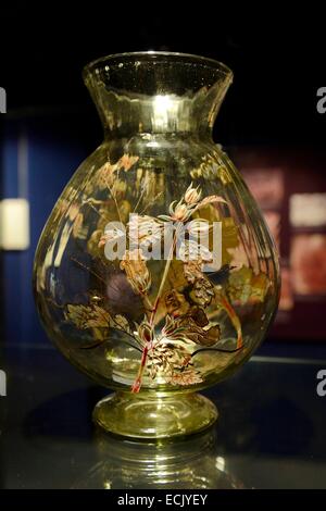 Francia, della Mosella, Meisenthal, sito di vetro, il museo del vetro, butterfly vaso da Emile Galle Foto Stock