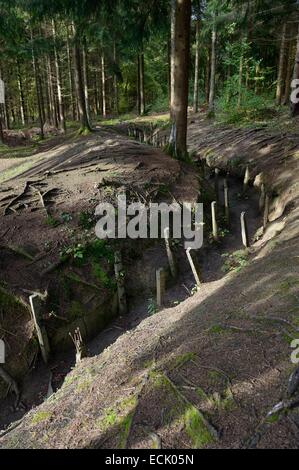 Francia, Meuse, Douaumont, battaglia di Verdun, boyau de Londres (Londra trench) sotto gli Austriaci a pino nero fornito come danni di guerra, questa arteria di comunicazione fatta nel 1917 collegato Fort Douaumont per le linee posteriori Foto Stock