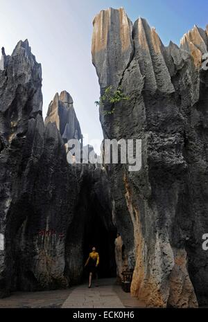 La Cina, nella provincia dello Yunnan, Shilin, formazioni carsiche nel parco di foresta di pietra Foto Stock