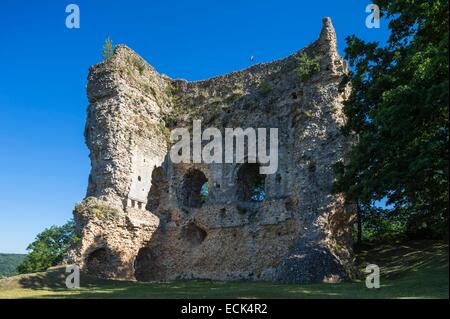 Francia, Eure, Brionne, le rovine del XI secolo mastio quadrato Foto Stock