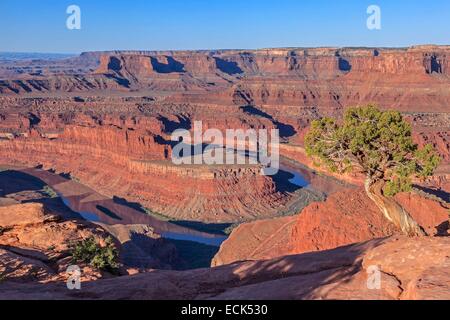 Stati Uniti, Utah e Colorado Plateau, Dead Horse Point State Park vicino al Parco Nazionale di Canyonlands, fiume Colorado a sunrise Foto Stock