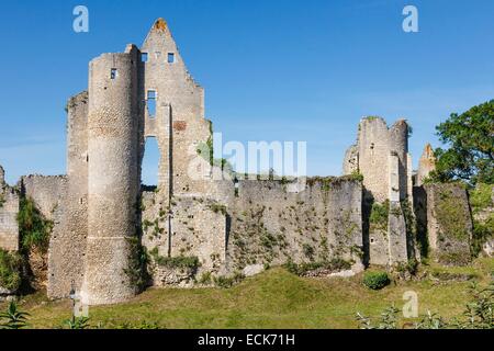 Francia, Vienne, angoli sur l'Anglin, etichettati Les Plus Beaux Villages de France (MoSaint bei villaggi di Francia), il castello Foto Stock