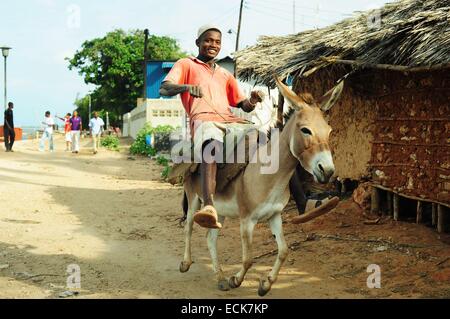 Il Kenya, l'arcipelago di Lamu, Lamu, uomo asino di equitazione Foto Stock