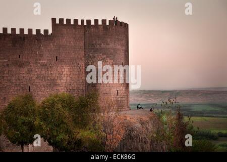 La Turchia, Sud Anatolia orientale, Kurdistan, Diyarbakir. Kaci Burcu, le pareti Foto Stock