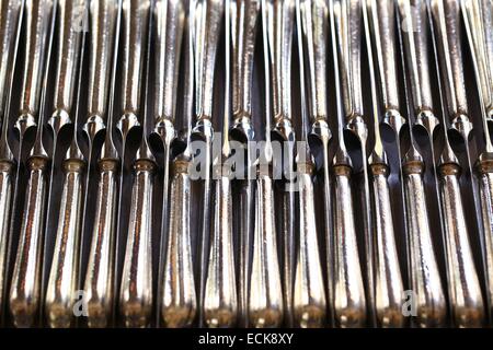 Francia, Bouches du Rhone, Arles, Hotel Jules Cesar, ristorante Lou Marques Foto Stock