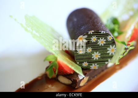 Francia, Bouches du Rhone, Arles, Hotel Jules Cesar, ristorante Lou Marques, lecca-lecca anice, Brownie al cioccolato e nocciole tostate Foto Stock