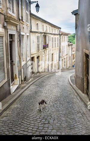 Francia, Meurthe-et-Moselle, Briey Foto Stock