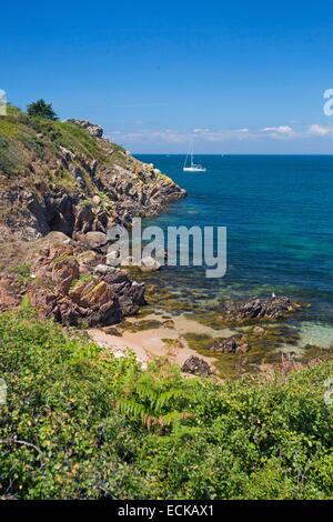 Francia, Morbihan, il Ponant isole, l'isola di Houat, escursione lungo la costa nord di fronte al Golfo di Morbihan Foto Stock