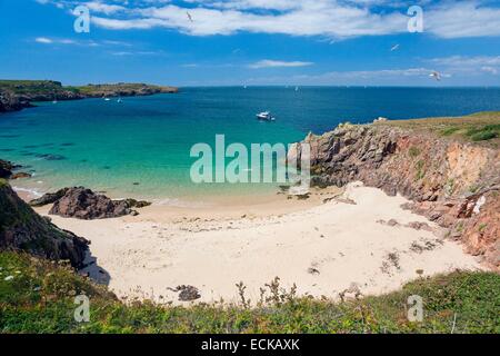 Francia, Morbihan, il Ponant isole, l'isola di Houat, escursione lungo la costa nord di fronte al Golfo di Morbihan Foto Stock