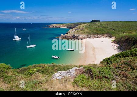 Francia, Morbihan, il Ponant isole, l'isola di Houat, escursione lungo la costa nord di fronte al Golfo di Morbihan Foto Stock