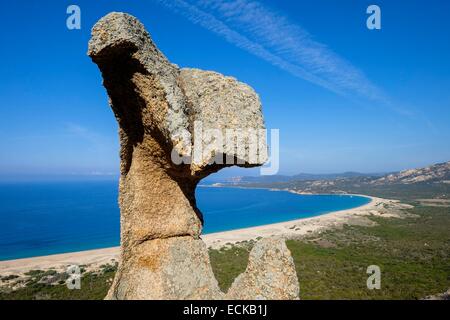 In Francia, in Corse-du-Sud, Roccapina sito naturale, vista panoramica dalla torre genovese sulla spiaggia di Erbaju Foto Stock